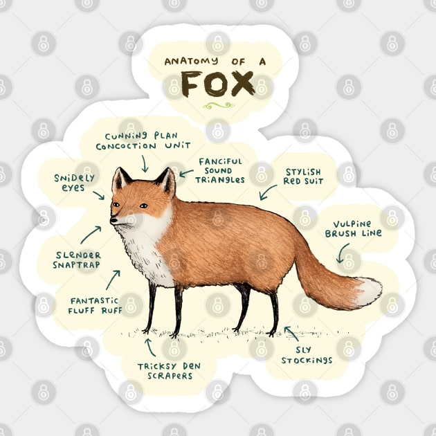 Anatomy of a Fox Sticker by Sophie Corrigan